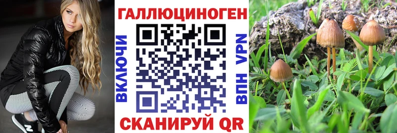 Галлюциногенные грибы мицелий Купить закладки Новокузнецк